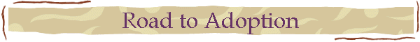 Road to Adoption