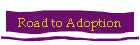 Road to Adoption