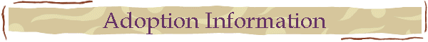 Adoption Information