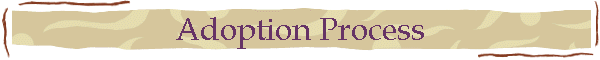 Adoption Process
