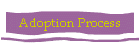 Adoption Process