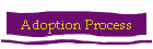 Adoption Process