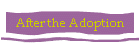 After the Adoption