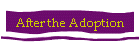 After the Adoption