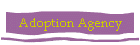 Adoption Agency